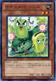 card9301-series21063-rarity1