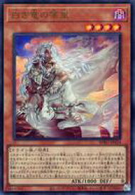 card172131-series74262-rarity7