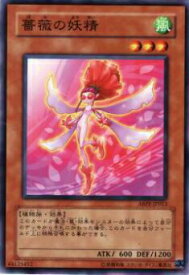 card9536-series21630-rarity1