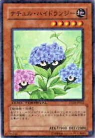 card9746-series22220-rarity1