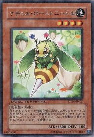 card9748-series22220-rarity62