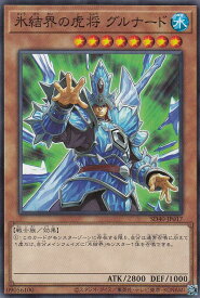 card9749-series6270-rarity1