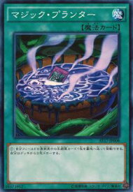 card9970-series17260-rarity1