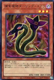 card5428-series2790426-rarity7