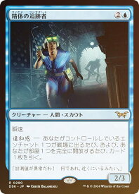 card288347-series166524-rarity323476