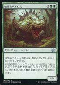 card291894-series169937-rarity323478