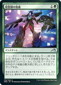 card293159-series171213-rarity323478