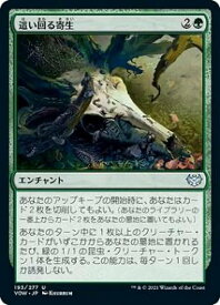 card293672-series171709-rarity323478