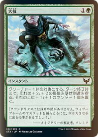 card294778-series172886-rarity323480