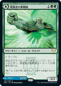 card294803-series172886-rarity323476