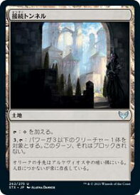 card294918-series172886-rarity323478