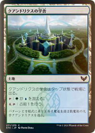card294927-series172886-rarity323480