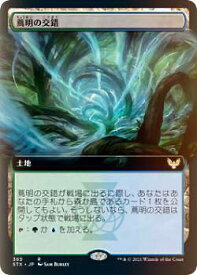 card294930-series172886-rarity323476