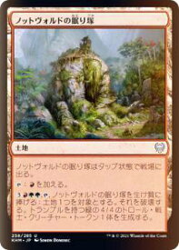 card295296-series173268-rarity323478