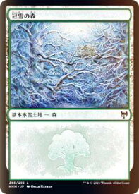 card295322-series173268-rarity323737