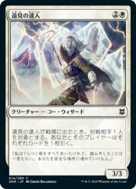 card295451-series173667-rarity323480