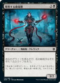 card295549-series173667-rarity323480