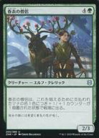 card295642-series173667-rarity323478