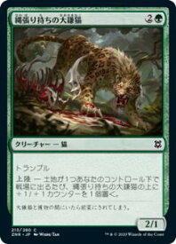 card295650-series173667-rarity323480
