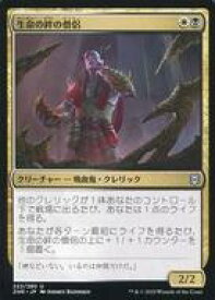 card295659-series173667-rarity323478