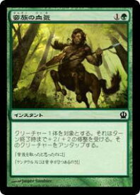 card301441-series179505-rarity323480