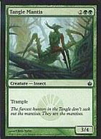 card303125-series181300-rarity323480