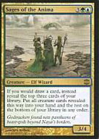 card304203-series182375-rarity323476