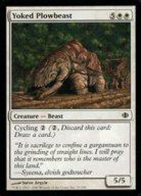 card304421-series182665-rarity323480