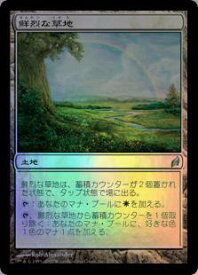 card305549-series183545-rarity323478