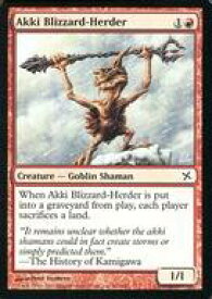 card307245-series185429-rarity323480