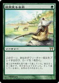 card307529-series185594-rarity323476