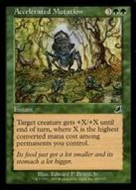 card308370-series186536-rarity323480