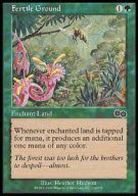 card305481-series189368-rarity323480
