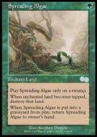 card311367-series189368-rarity323478