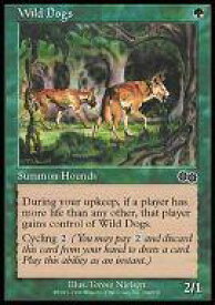 card311377-series189368-rarity323480
