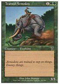 card311989-series196478-rarity323480