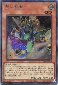 card1716-series1780-rarity5