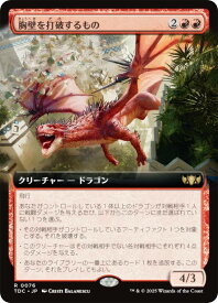 card324305-series202544-rarity323476