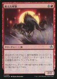 card293640-series179055-rarity323480