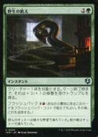 card302569-series179055-rarity323478