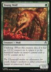 card302571-series179055-rarity323480