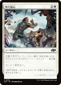 card299793-series204363-rarity323480