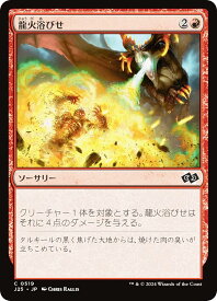 card300573-series204363-rarity323480