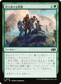 card295614-series204363-rarity323480