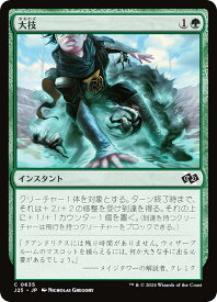 card294778-series204363-rarity323480