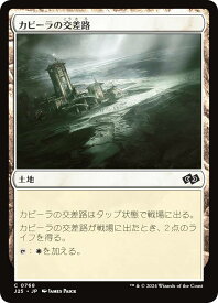 card304047-series204363-rarity323480