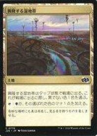 card326866-series204363-rarity323480