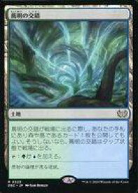 card294930-series205142-rarity323476