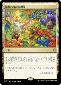 card304387-series205515-rarity323476