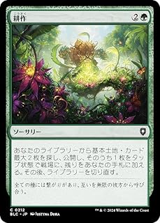 card314431-series205515-rarity323480
